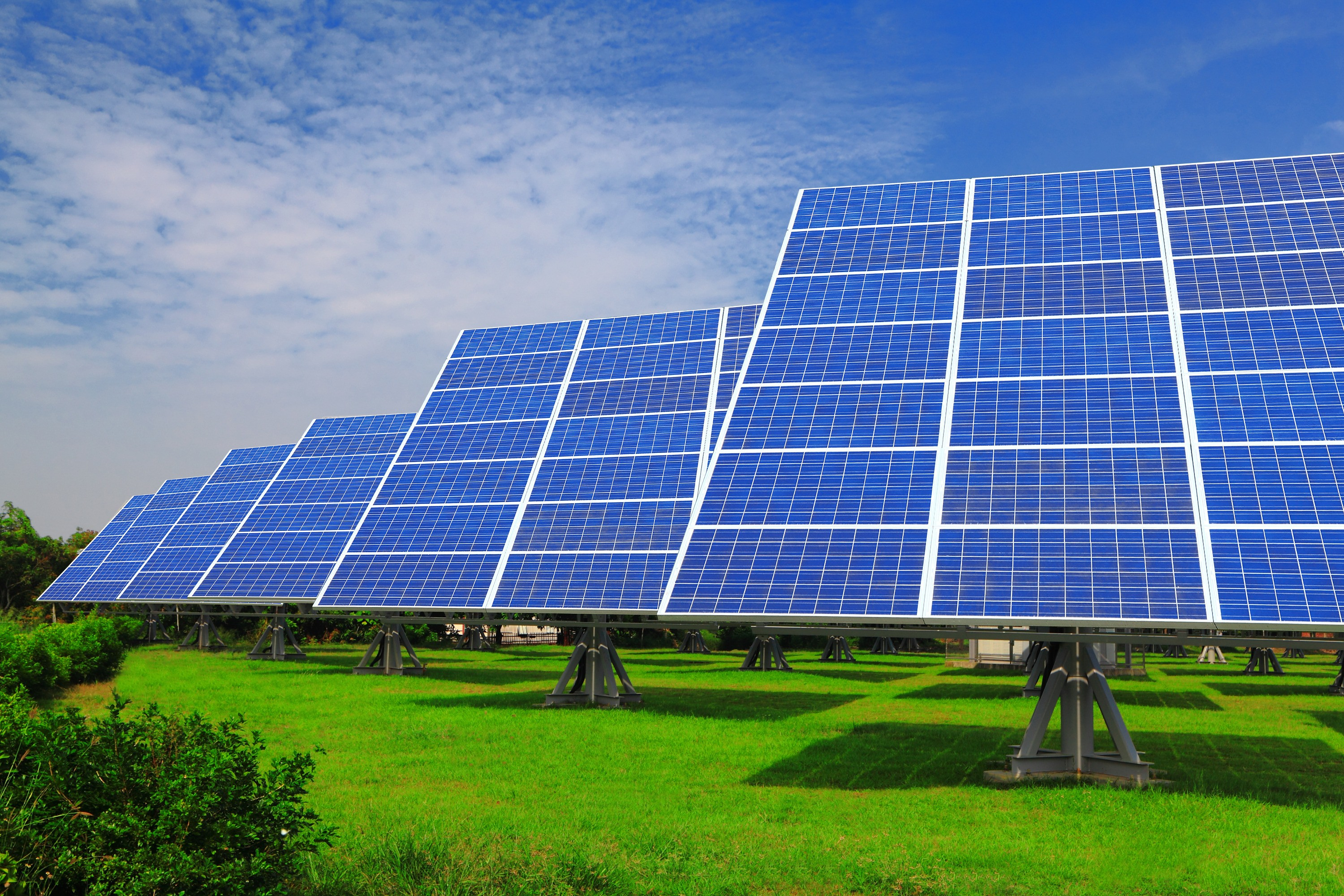 Large solar panel array on green grass field under blue sky